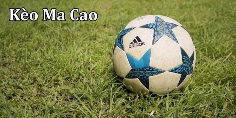 Kèo Macao là loại cược quen thuộc của người chơi