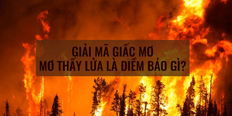 Những điềm báo trong mơ được giải thích như thế nào